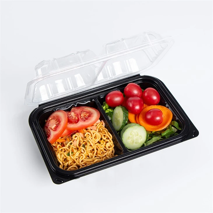 Caja Bento de almuerzo desechable de comida caliente