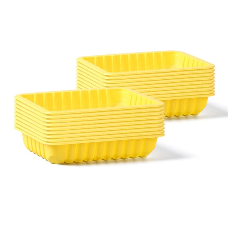 Saboree cada bocado en cualquier lugar, innovadora bandeja desechable para amantes de la gastronomía