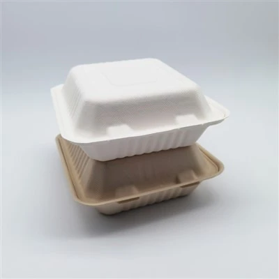 Envase para llevar biodegradable del papel de pulpa de fibra del bagazo de caña de azúcar