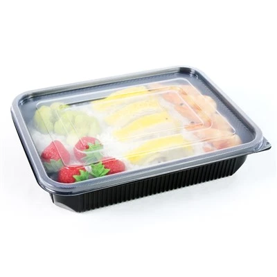 Comidas ecológicas para llevar: soluciones de loncheras desechables para el estilo de vida moderno