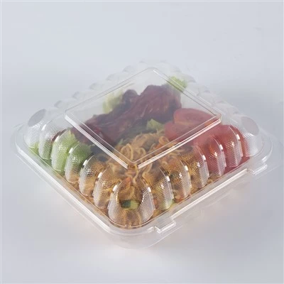 Plastic Transparent Bento Box Disposable Takeaway