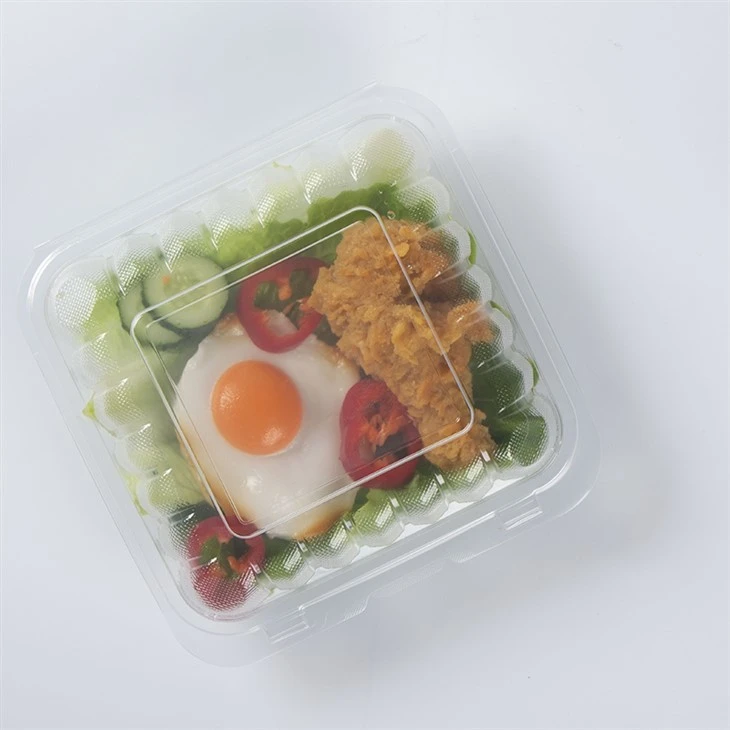 Fiambrera Bento de comida desechable para llevar