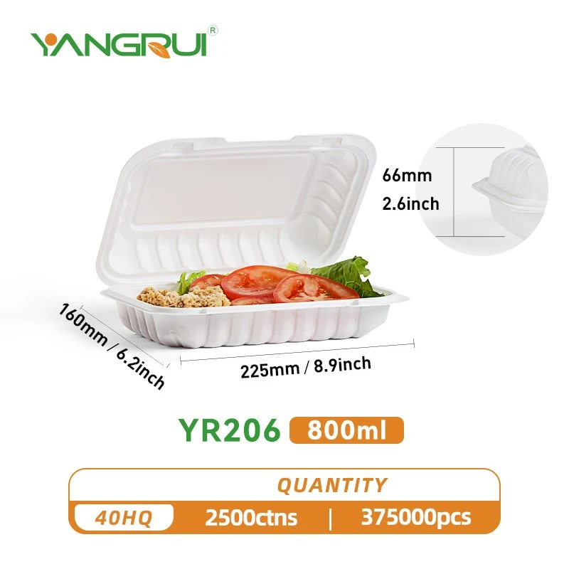 Disposable Plastic Take Out Hinged Food Container Disposable Plastic Take Out Hinged Food Container
