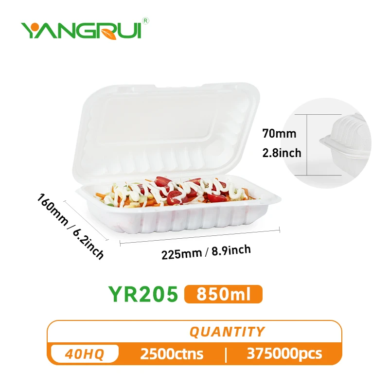 Disposable Plastic Take Out Hinged Food Container