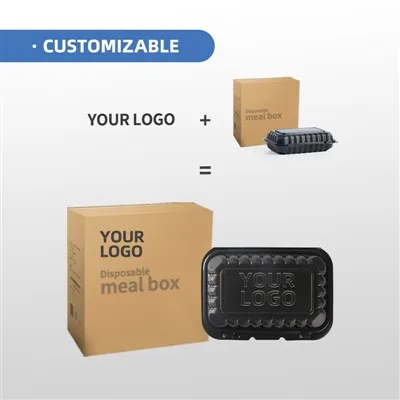 Disposable to go Food Container Disposable to go Food Container