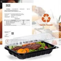 Togo Box With Clear Lid Togo Box With Clear Lid